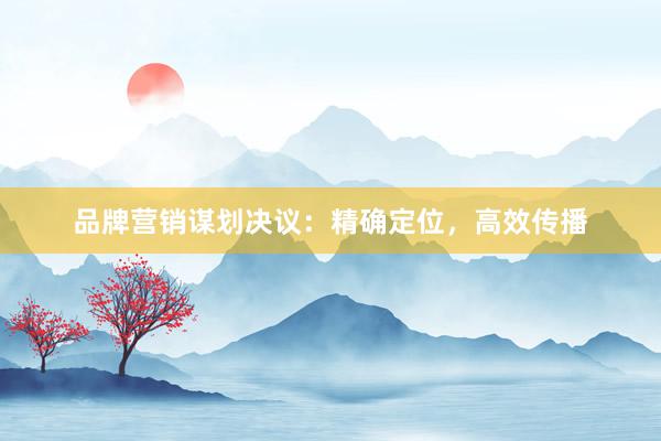 品牌营销谋划决议:精确定位,高效传播